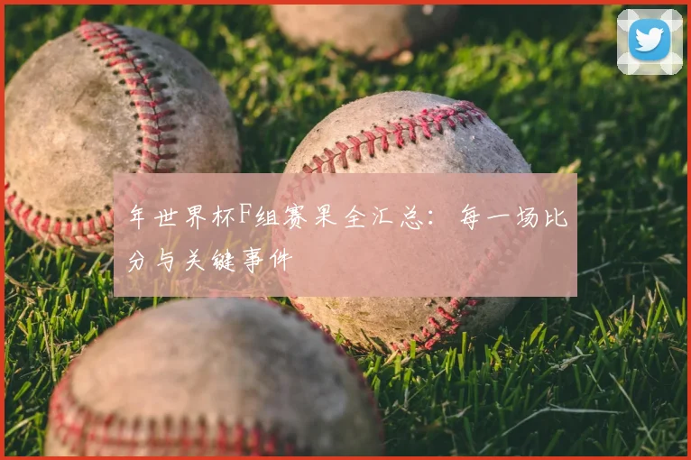 年世界杯F组赛果全汇总：每一场比分与关键事件