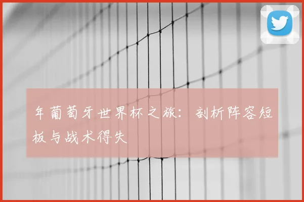 年葡萄牙世界杯之旅：剖析阵容短板与战术得失