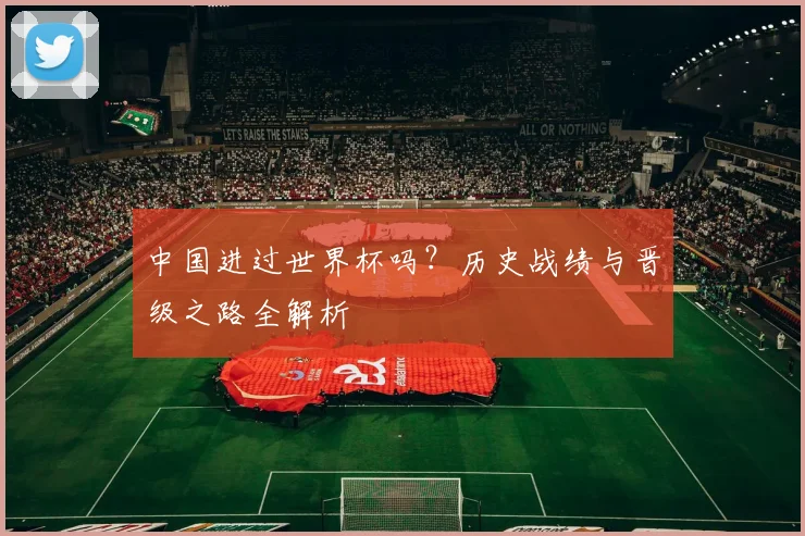 中国进过世界杯吗？历史战绩与晋级之路全解析