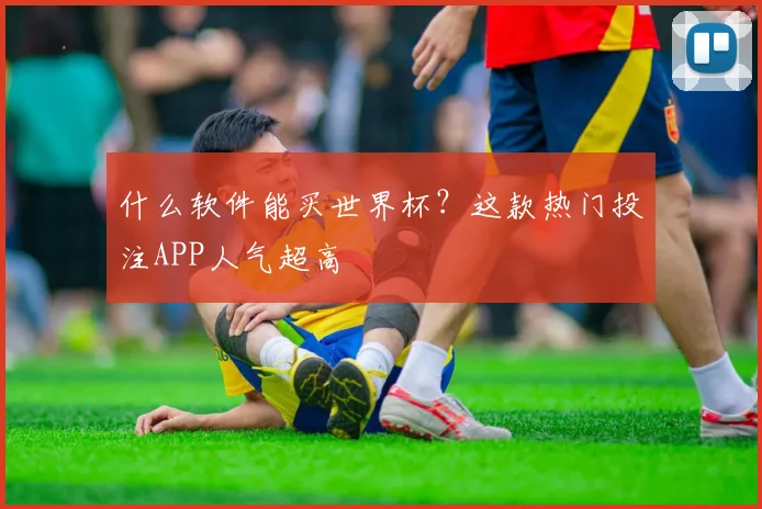 什么软件能买世界杯？这款热门投注APP人气超高
