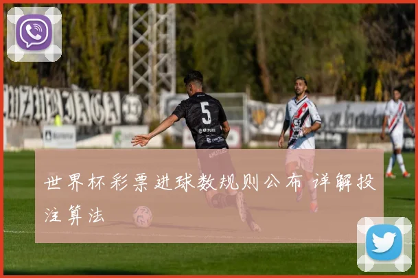 世界杯彩票进球数规则公布 详解投注算法