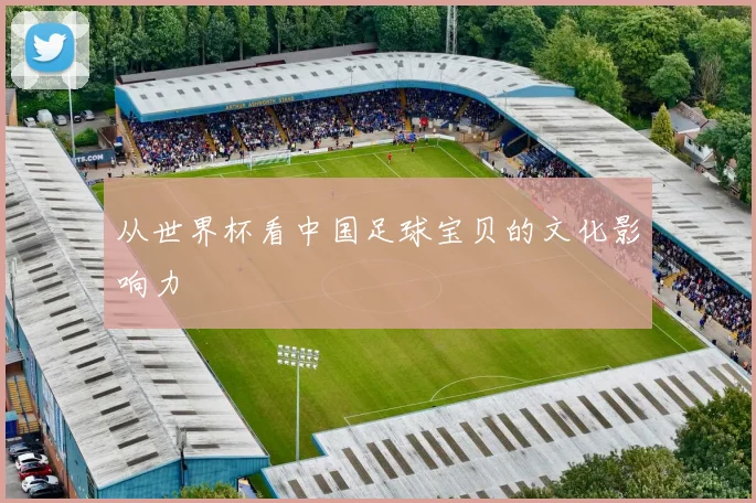 从世界杯看中国足球宝贝的文化影响力