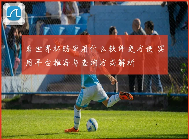 看世界杯赔率用什么软件更方便 实用平台推荐与查询方式解析