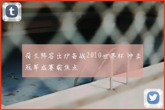 荷兰阵容出炉备战2010世界杯 冲击冠军成赛前焦点