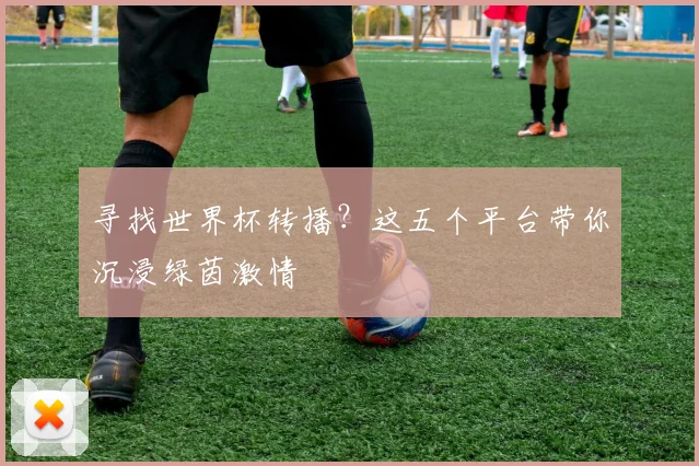 寻找世界杯转播？这五个平台带你沉浸绿茵激情